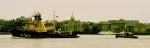IMG573 (800x251).jpg