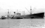 RML7-23.jpg