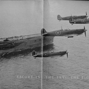 Spitfires,FAA