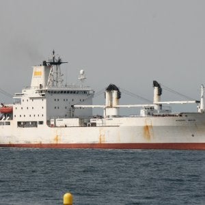 Akademik Vavilov