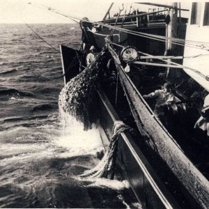 Bringing in the bag on port side