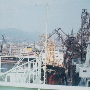 Genoa