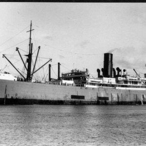 Port Sydney (I) 1914