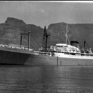 Port Sydney (II) 1955