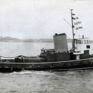 West Cock