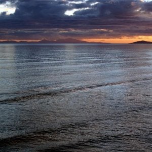 FOVEAUX STRAIT -New Zealand