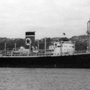 Dunedin Star (II)