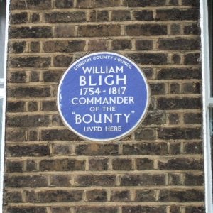 Bligh