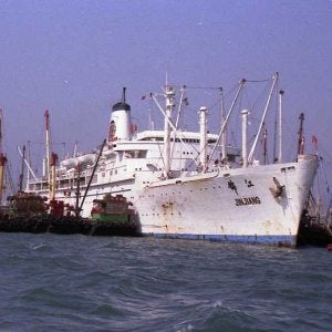 JIN JIANG