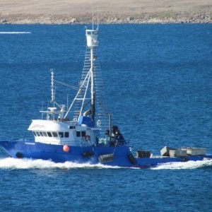 Yasmin (Q or O)534 in Port Lincoln South Australia.