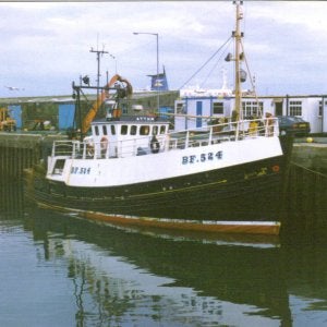 ATTAIN BF 524
