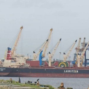 Sandpiper Bulker
