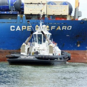 Svitzer Meringa and Cape Delfaro