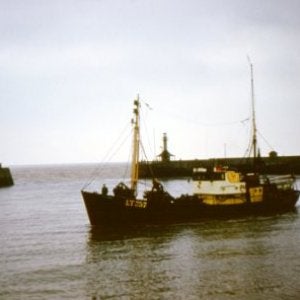 Lowestoft Trawler-B R Banks - LT257 at Lowestoft Harbour-1963