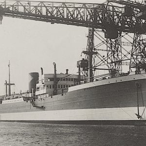 BENGALEN