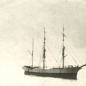 ALEXANDRA