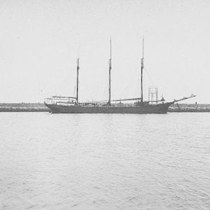 MAGNHILD