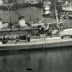 Assimina at Genoa, Italy
