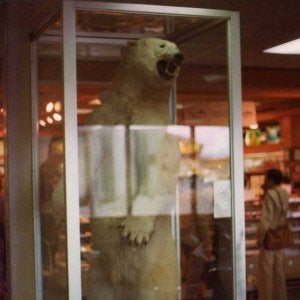 Anchorage Airport