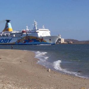 Moby Drea